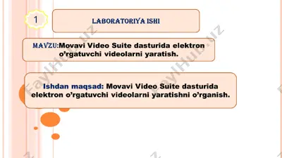 movavi video suite — PPT