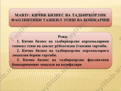 kichik biznes va tadbirkorlik faoliyatini tashkil etish va boshqarish — PPT