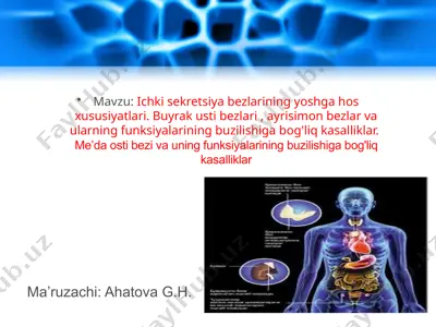 ichki sekretsiya bezlarining yoshga hos xususiyatlar — PPTX