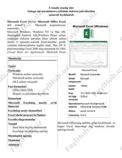 microsoft excel — DOCX