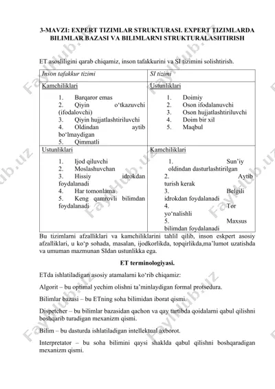 expert tizimlar strukturasi — DOCX