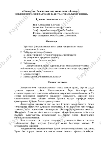 lantsetnik (lancelet) — DOCX
