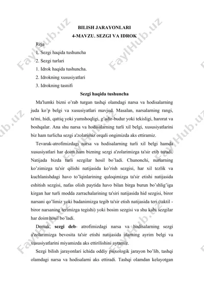 sezgi va idrok — DOC