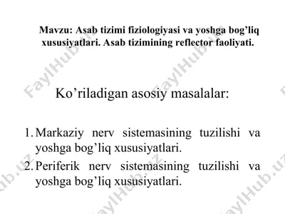 asab tizimi fiziologiyasi vayoshgabog’liqxususiyatlari — PPT