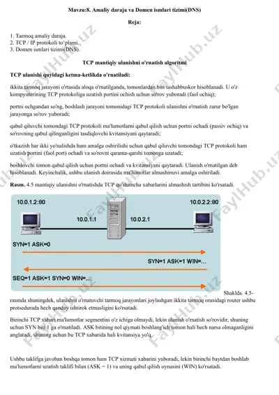 amaliy daraja va domen ismlari tizimi(dns) — DOCX