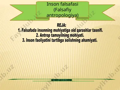 insonfalsafasi (falsafiyantropologiya) — PPTX
