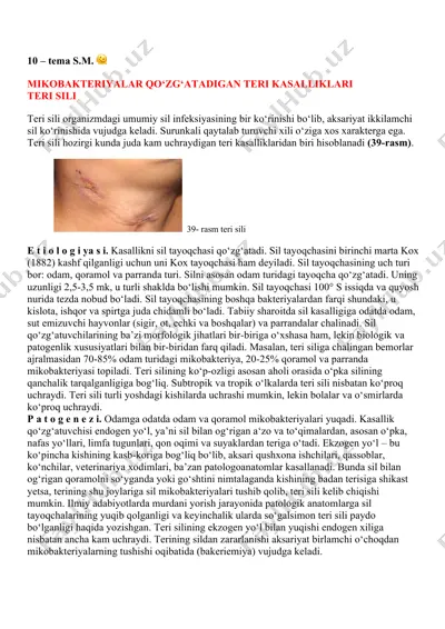 teri sili — PDF