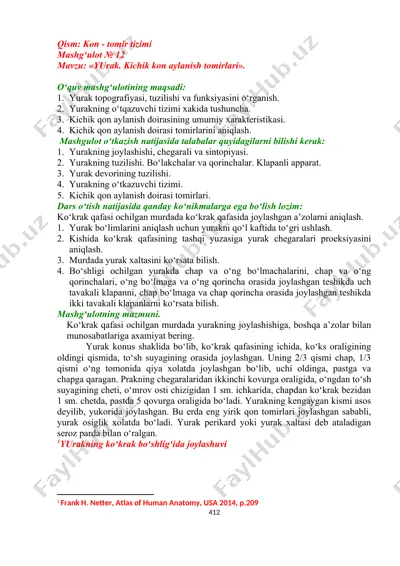 yurak. kichik kon aylanish tomirlari — DOC