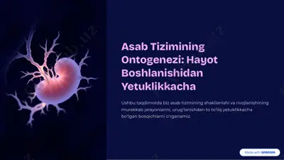 asab tizimining ontogenezi: hayot boshlanishidan yetuklikkacha — PDF