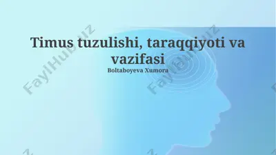 timus tuzulishi, taraqqiyoti va vazifasi — PPTX