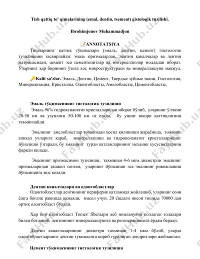 tish qattiq to' qimalarining gistologik tuzilishi — DOCX