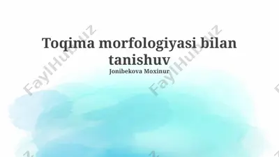 toqima morfologiyasi bilan tanishuv — PPTX