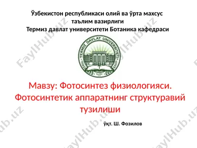 фотосинтез физiологияси — PPTX