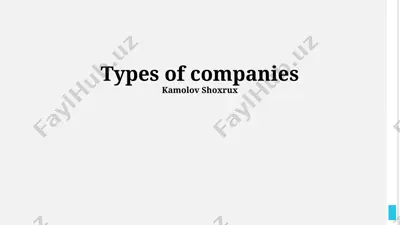 types of companies — PPTX