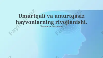 umurtqali va umurtqasiz hayvonlarning rivojlanishi — PPTX
