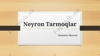 neyron tarmoqlar — PPTX