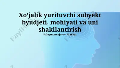 xo‘jalik yurituvchi subyekt byudjeti, mohiyati va uni shakllantirish — PPTX