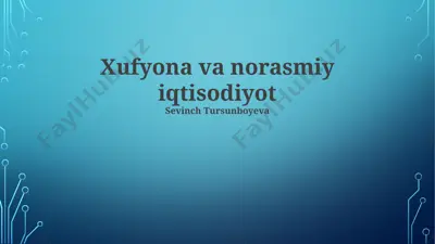 soyaliq va norasmiy iqtisodiyot — PPTX