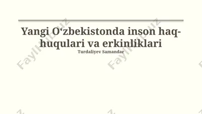 yangi oʻzbekistonda inson haq-huqulari va erkinliklari — PPTX