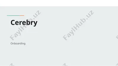 cerebry — PPTX