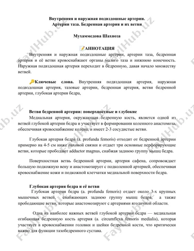 vnutrennyaya i narujnaya podvzdoshnie arterii, arterii taza, bedrennaya arteriya i eyo vetvi — DOCX