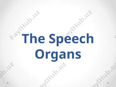 the speech organs — PPTX
