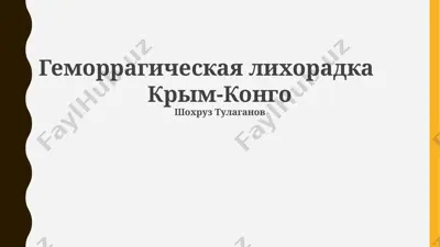 gemorragicheskaya lixoradka — PPTX
