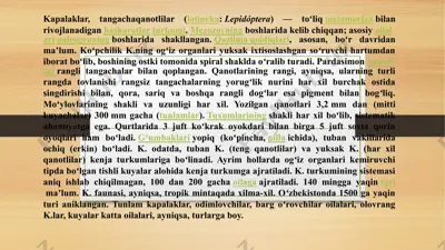 kapalaklar (lepidóptera) — PPTX
