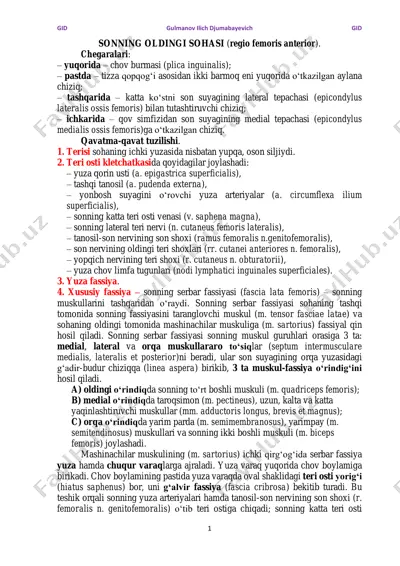 sonning oldingi sohasi (regio femoris anterior) — PDF