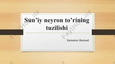 sun’iy neyron tuzilishi — PPTX