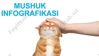 mushuk infografikasi — PPTX