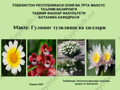 gulning tuzilishi va xillari — PPT