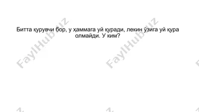 veterinar mushuklar — PPTX