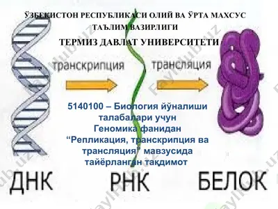 transkriptsiya — PPT