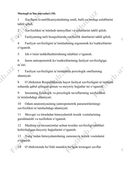 xavfsizlikni ta’minlash va faoliyat xavfsizligi — DOCX