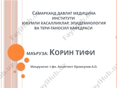 korintifi — PPTX