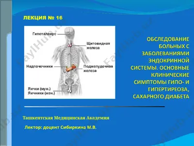 jelezi vnutrenney sekretsii — PPT