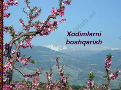xodimlarni boshqarish — PPT