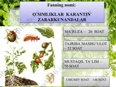 o‘simliklarkarantin zararkunandalar — PPT