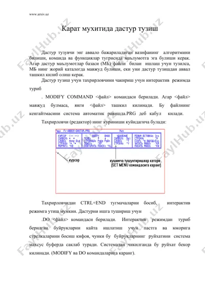 карат мухитида дастур тузиш — DOC
