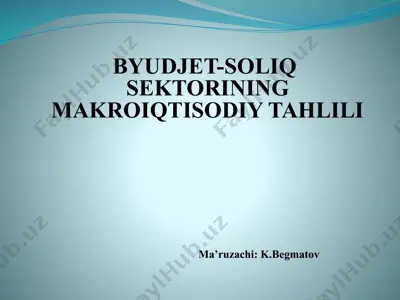 byudjet-soliq sektorining makroiqtisodiy tahlili — PPTX