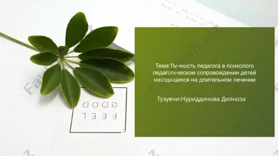 личность педагога в психолого-педагогическом сопровождении детей находящихся на длительном лечении — PPTX