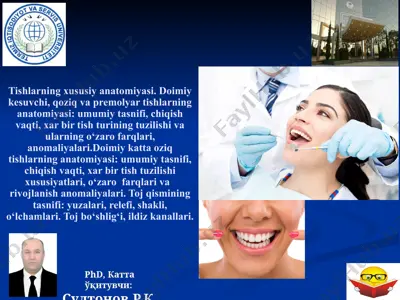 tishlarning xususiy anatomiyasi — PPTX