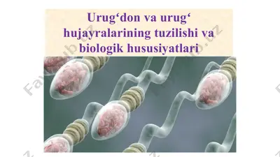 urugʻdon va urugʻ hujayralarining tuzilishi va biologik hususiyatlari — PPTX