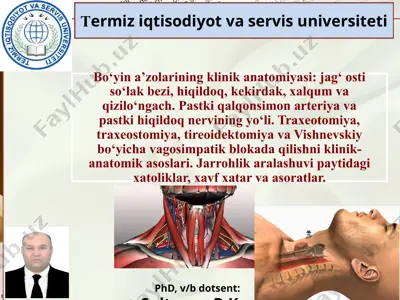 boʻyinsohasi klinik anatomiyasi — PPTX