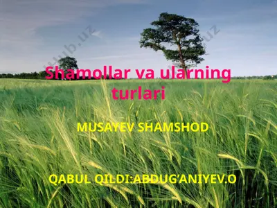 shamollar va ularning turlari — PPTX