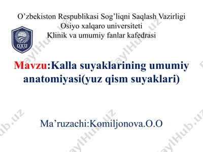 kallasuyaklarining umumi yon anatomiyasi (yuzqismi) — PPTX
