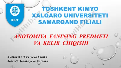 i̇nson anatomiyasi va fiziologiyasi — PPTX