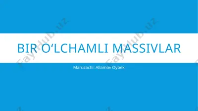 biro‘lchamli massivlar — PPTX