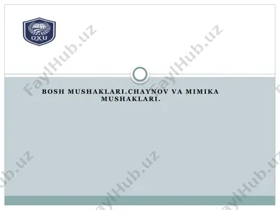 chaynov va mimika mushaklari — PPTX